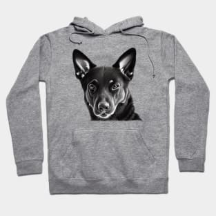 Australian Kelpie Dog Hoodie